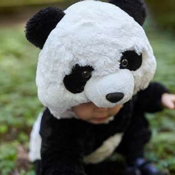Pottery Barn kids- Panda costume - Picture 2 of 3